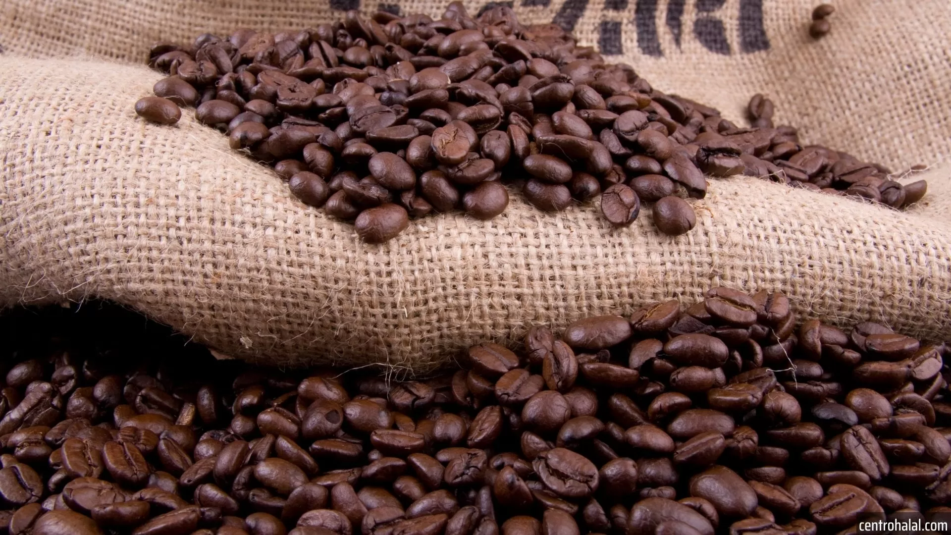 Logistics Crisis Impacts Brazilian Coffee Exports: The Paradox of Abundance and Scarcity